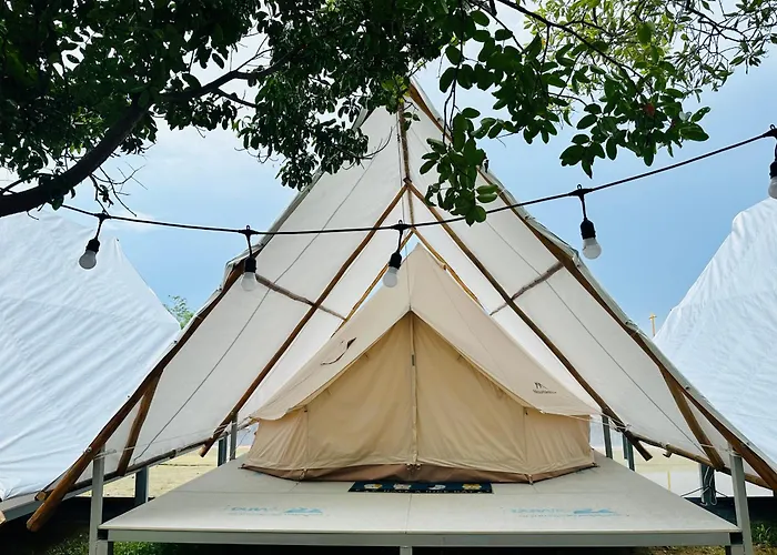 Say Camp Forest