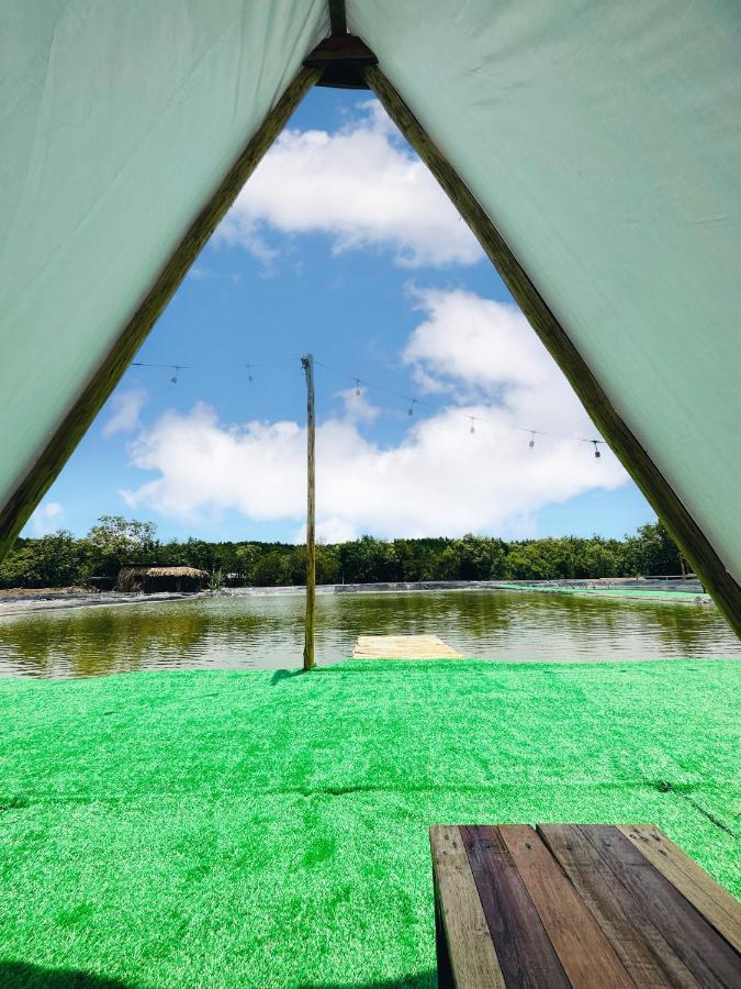 Say Camp Forest Cần Giờ